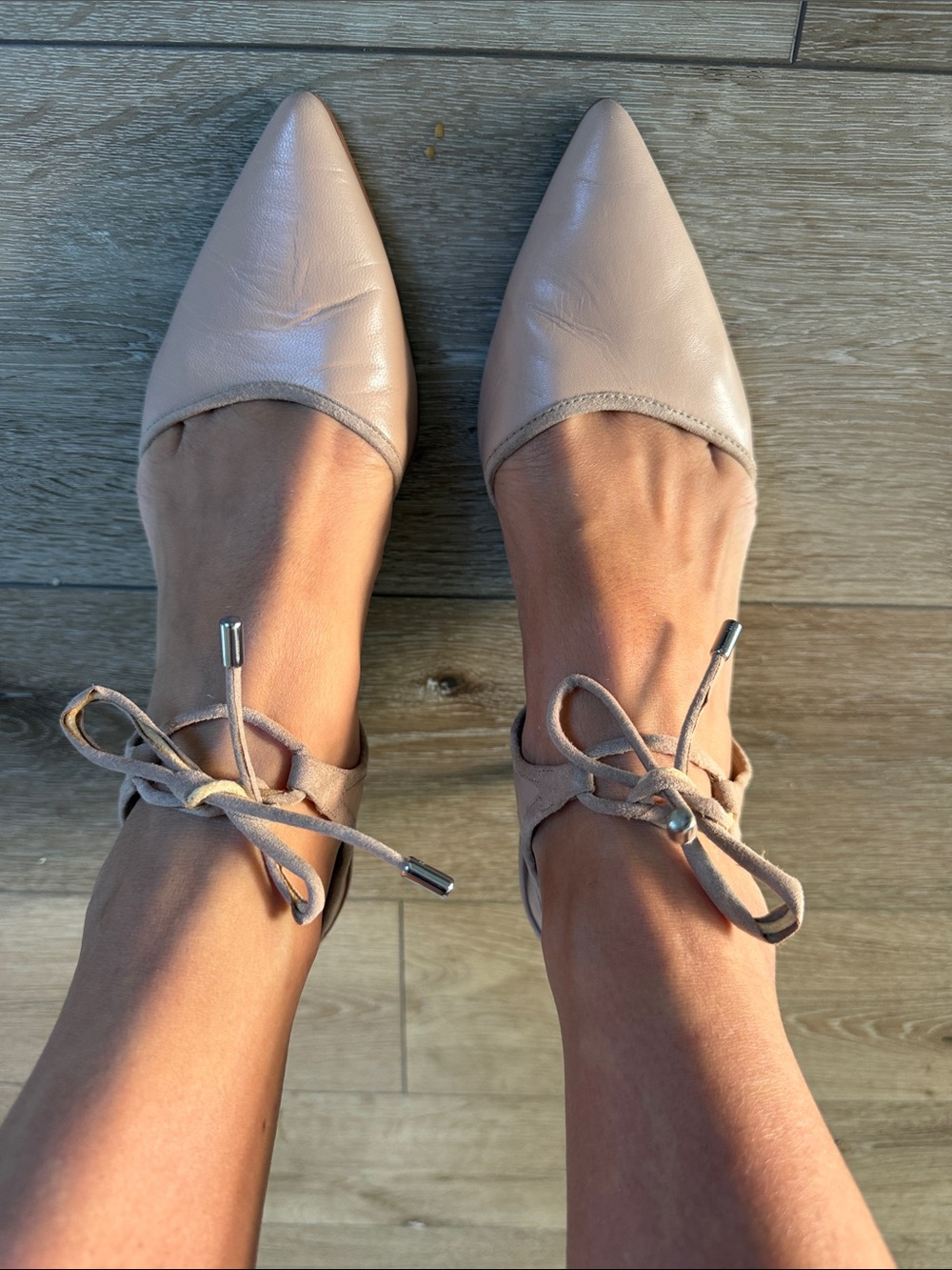 Franco Sarto Pointed Toe Ankle Tie Heels in Nude Blush